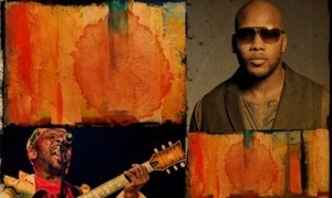 SAINT LUCIA JAZZ FESTIVAL